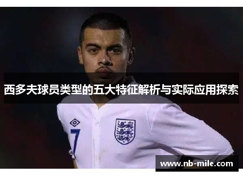 西多夫球员类型的五大特征解析与实际应用探索 西多夫球员类型的五大特征解析与实际应用探索