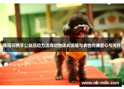 陈雨菲携手公益活动为流浪动物送去温暖与食物传递爱心与关怀 陈雨菲携手公益活动为流浪动物送去温暖与食物传递爱心与关怀