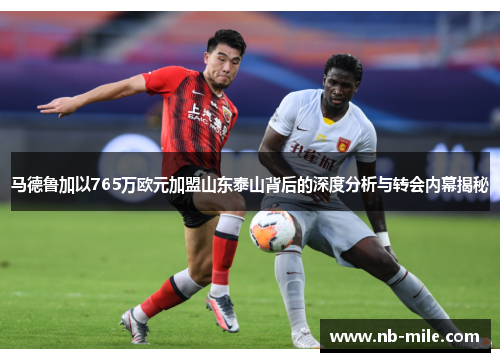 马德鲁加以765万欧元加盟山东泰山背后的深度分析与转会内幕揭秘