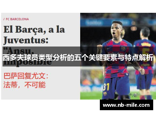西多夫球员类型分析的五个关键要素与特点解析 西多夫球员类型分析的五个关键要素与特点解析
