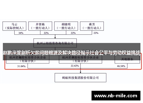 赵鹏深度剖析欠薪问题根源及解决路径揭示社会公平与劳动权益挑战