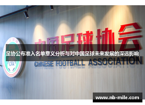 足协公布准入名单意义分析与对中国足球未来发展的深远影响