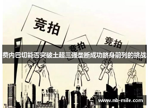 费内巴切能否突破土超三强垄断成功跻身前列的挑战